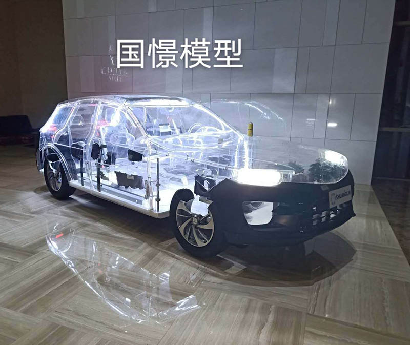 涡阳县透明车模型